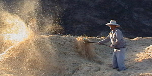 Aventando en Las Hoyas. Artenara Aventando en Las Hoyas. Artenara
